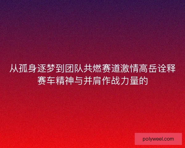 从孤身逐梦到团队共燃赛道激情高岳诠释赛车精神与并肩作战力量的