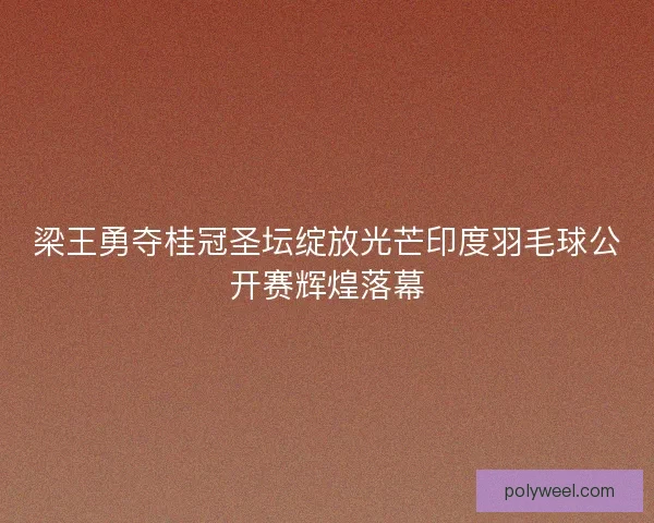 梁王勇夺桂冠圣坛绽放光芒印度羽毛球公开赛辉煌落幕