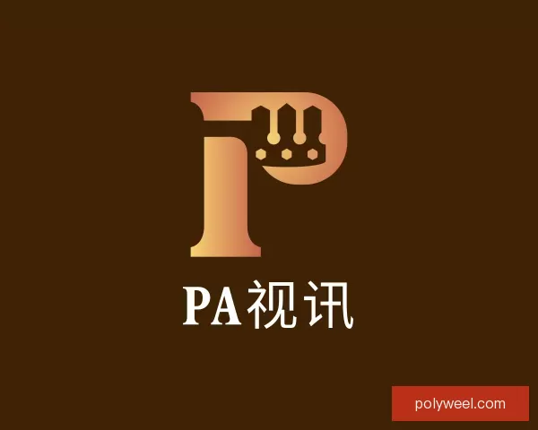 了解PA视讯